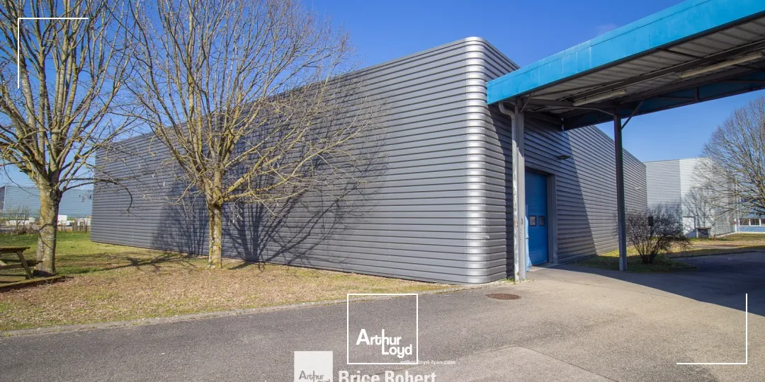 Locaux d'activité & Entrepôts - Location - BLYES - 01150 - 7878-7878 - 7824187