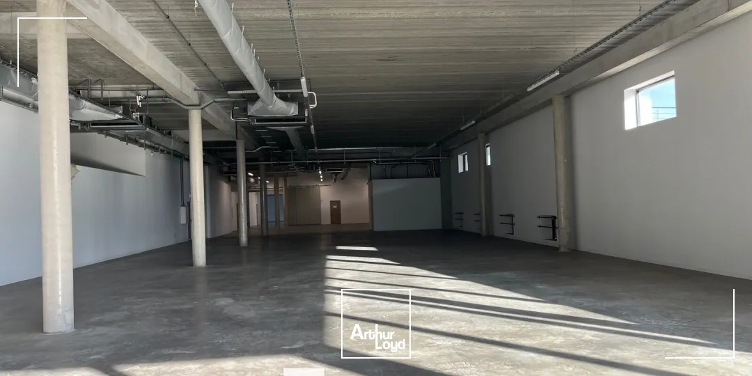 Locaux d'activité & Entrepôts - Location - VENISSIEUX - 69200 - 3738-3738 - 7824178