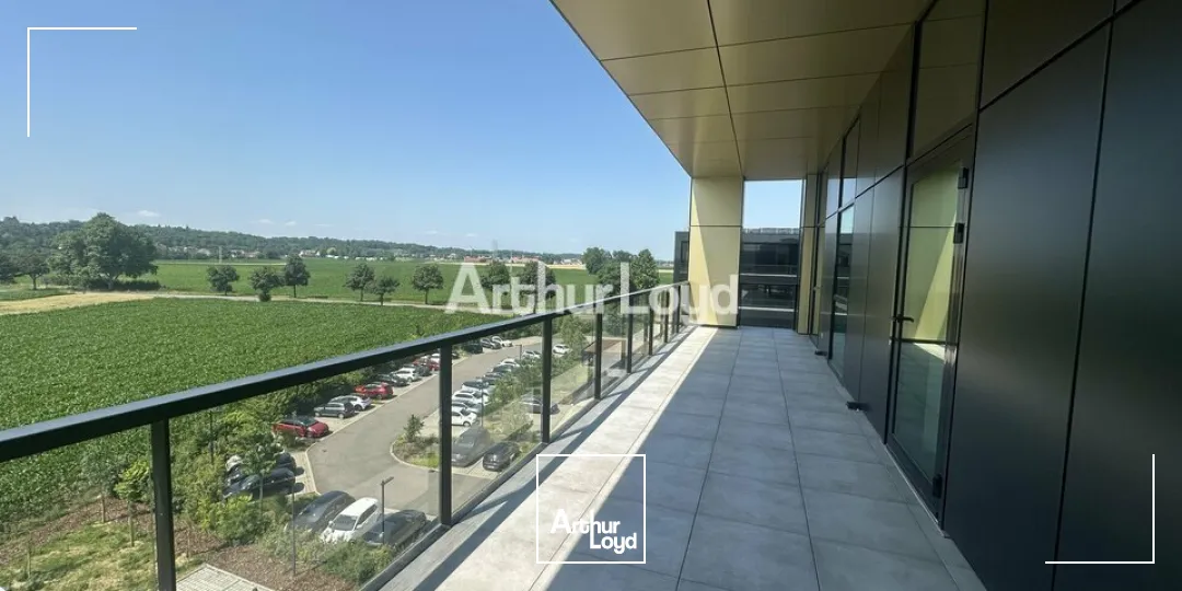 Bureaux - Location - SCHILTIGHEIM - 67300 - 91-390 - 7826268
