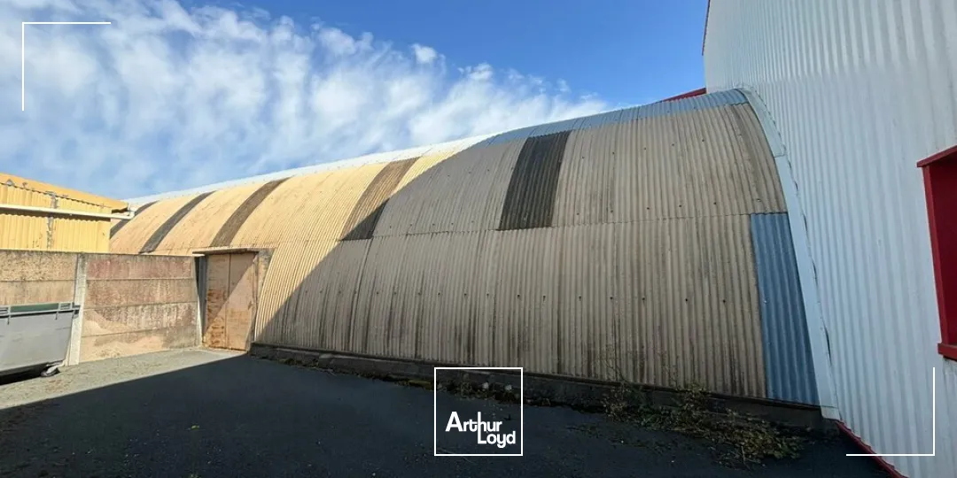 Locaux d'activité & Entrepôts - Vente - LA JAUDONNIÈRE - 85110 - 500-2250 - 7826371
