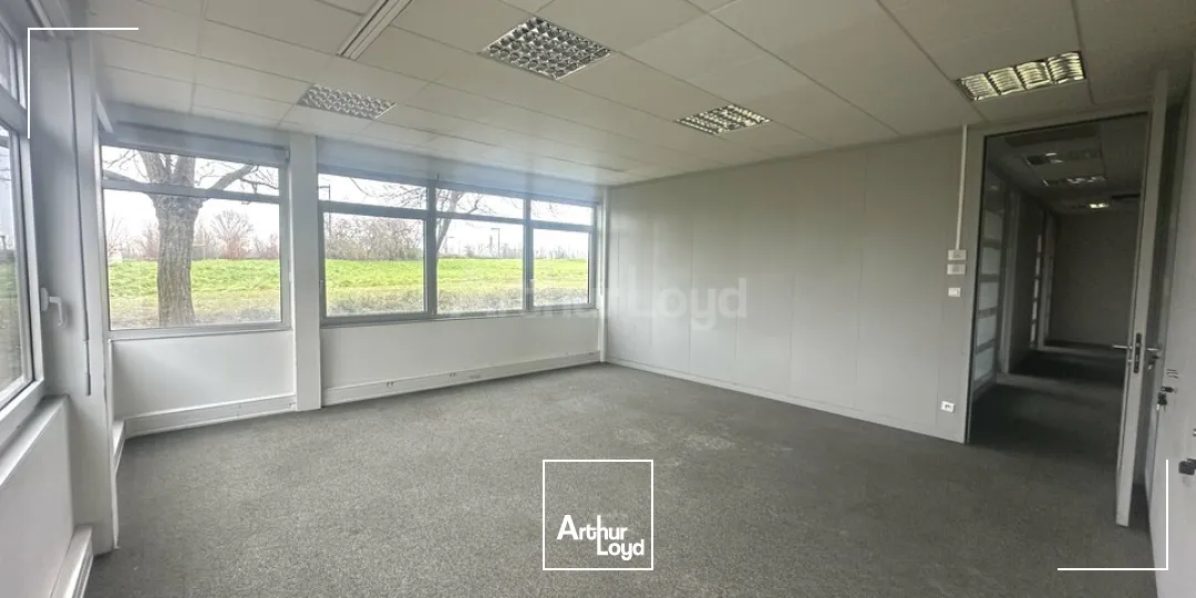 Bureaux - Location - ENTZHEIM - 67960 - 90-538.39 - 7828094