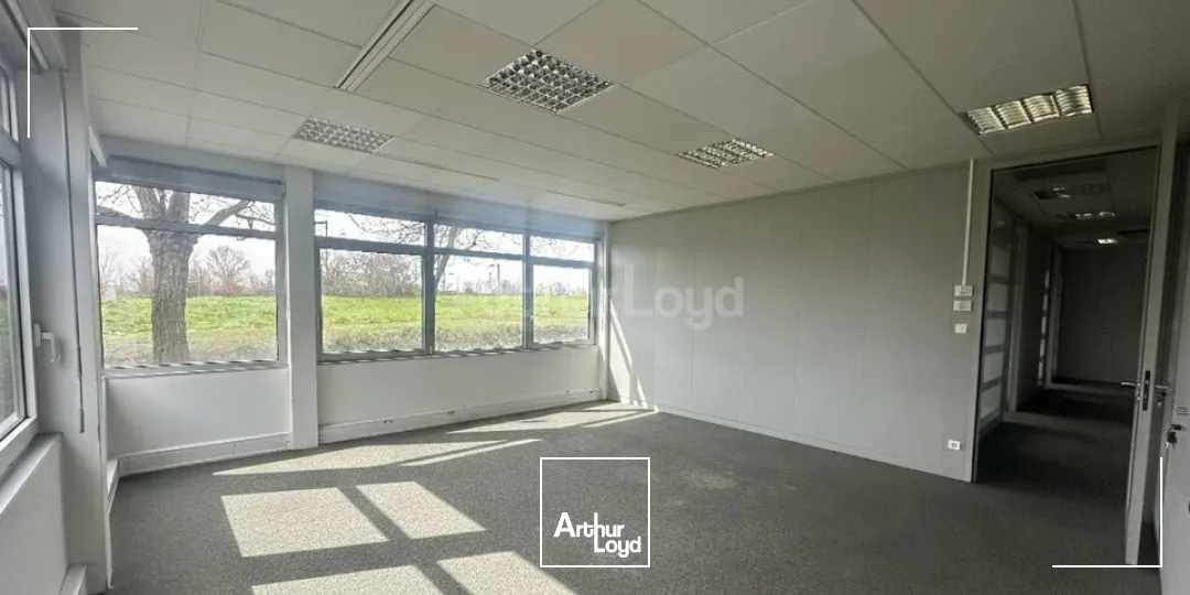 Bureaux - Location - ENTZHEIM - 67960 - 90-538.39 - 7828096