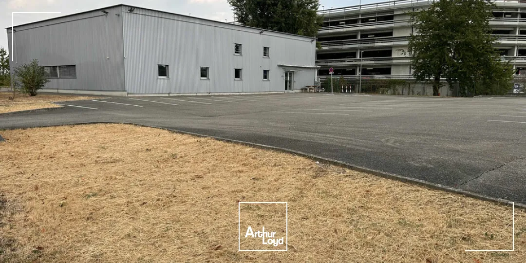 Locaux d'activité & Entrepôts - Vente - SAINT-LOUIS - 68300 - 1100-1100 - 7828897