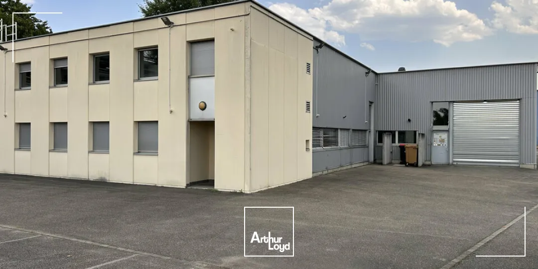Locaux d'activité & Entrepôts - Vente - SAINT-LOUIS - 68300 - 1100-1100 - 7828898