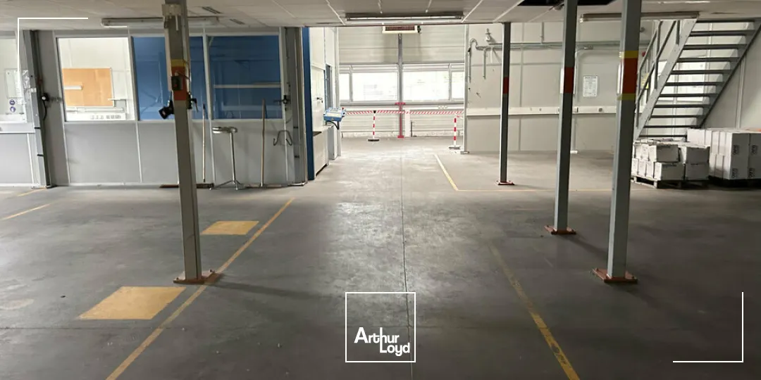 Locaux d'activité & Entrepôts - Vente - SAINT-LOUIS - 68300 - 1100-1100 - 7828903