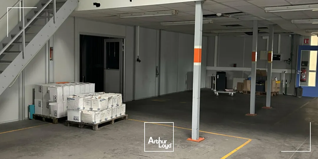 Locaux d'activité & Entrepôts - Vente - SAINT-LOUIS - 68300 - 1100-1100 - 7828905
