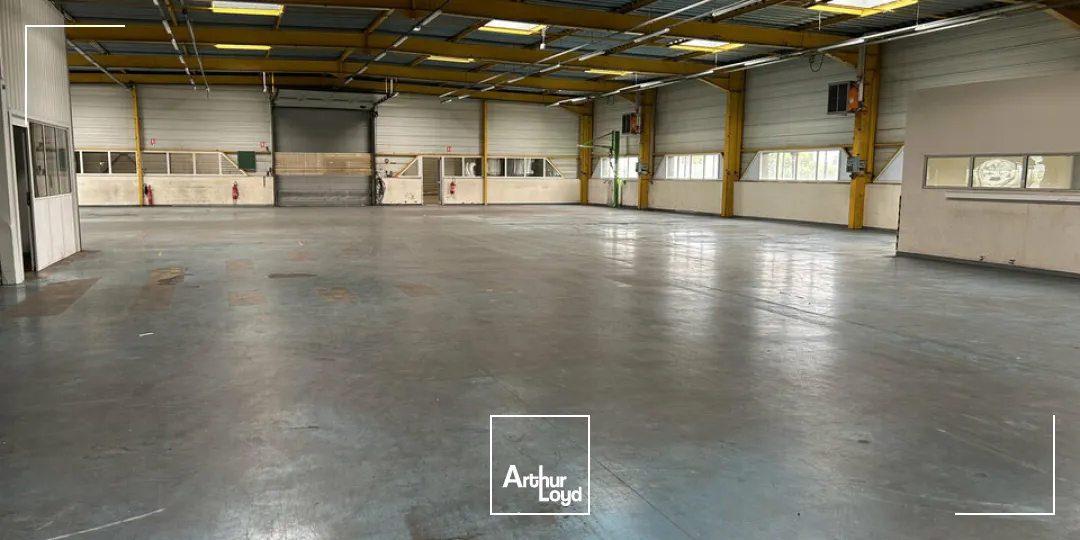Locaux d'activité & Entrepôts - Vente - WITTENHEIM - 68270 - 2340-2340 - 7828913