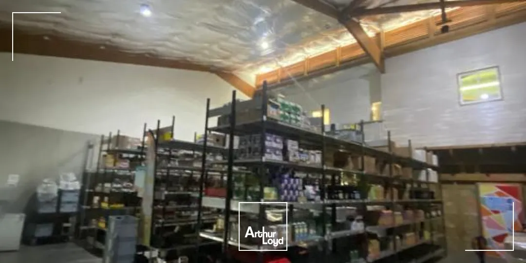 Locaux d'activité & Entrepôts - Location - Sainte Luce - 97228 - 265-265 - 7829565