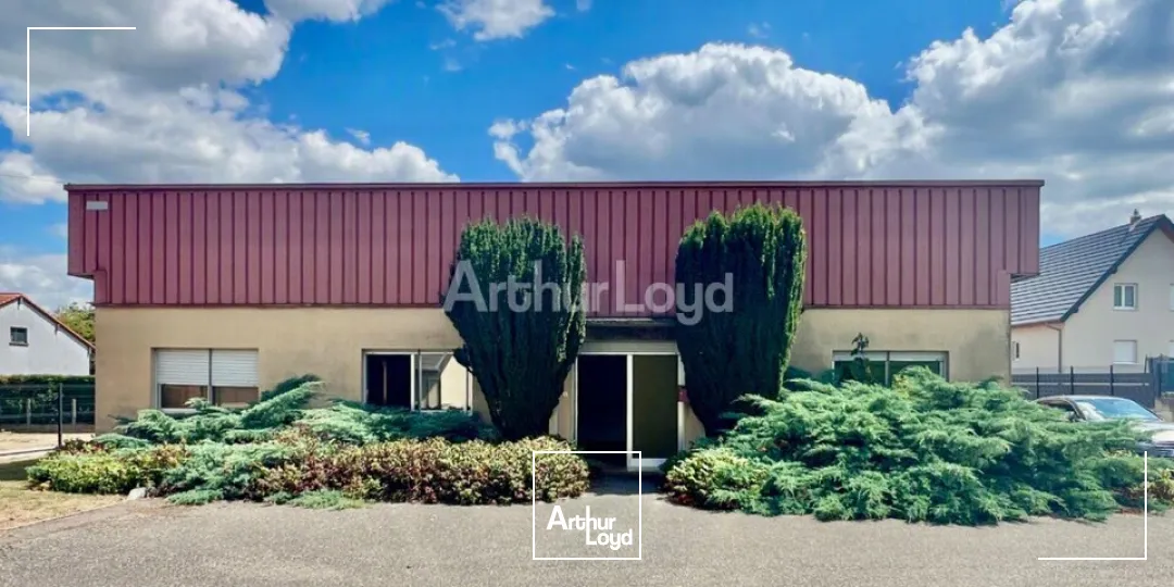 Locaux d'activité & Entrepôts - Vente - BERGHOLTZ - 68500 - 608-608 - 7831363