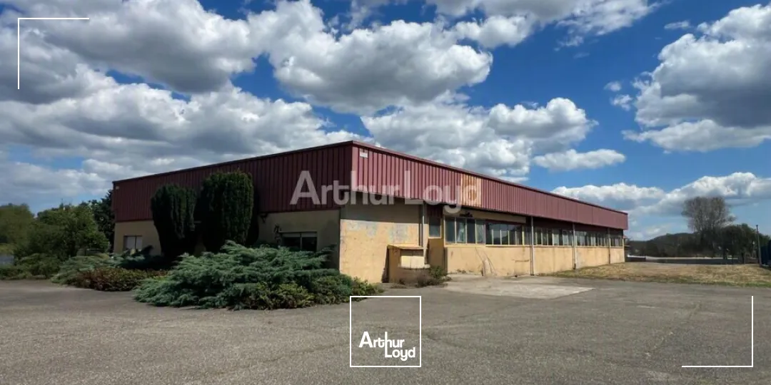 Locaux d'activité & Entrepôts - Vente - BERGHOLTZ - 68500 - 608-608 - 7831364