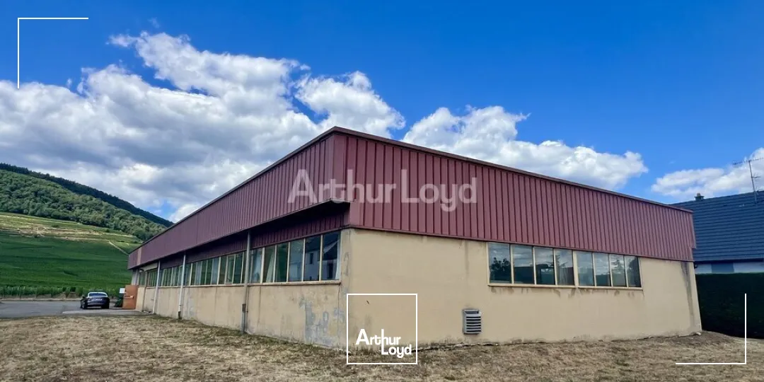 Locaux d'activité & Entrepôts - Vente - BERGHOLTZ - 68500 - 608-608 - 7831366
