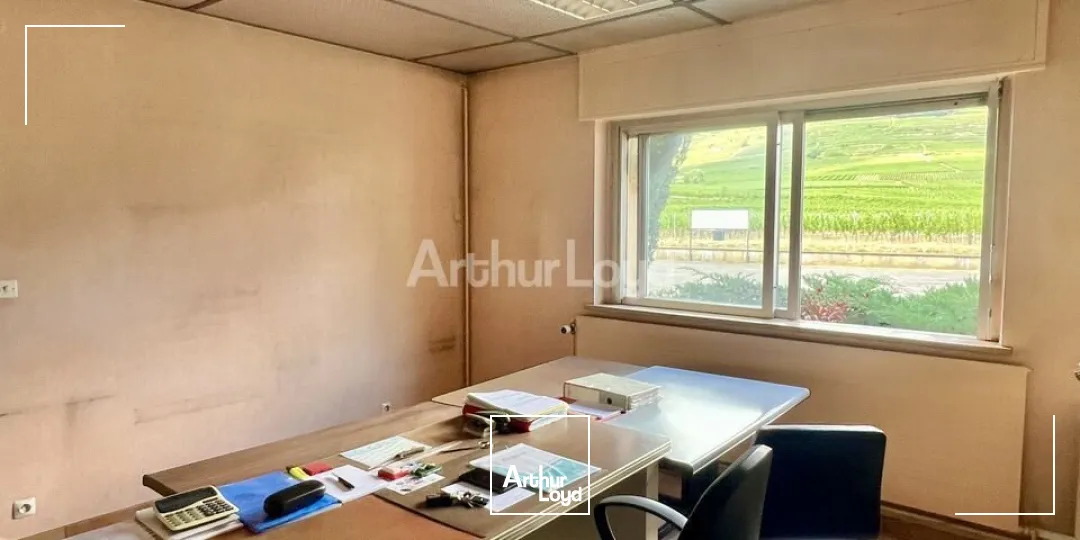 Locaux d'activité & Entrepôts - Vente - BERGHOLTZ - 68500 - 608-608 - 7831369