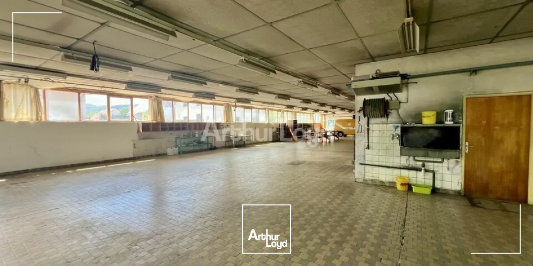 Locaux d'activité & Entrepôts - Vente - BERGHOLTZ - 68500 - 608-608 - 7831373