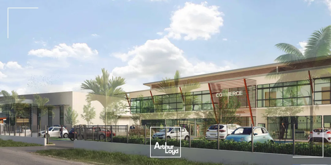 Bureaux - Location - Matoury - 97351 - 117-117 - 7832011