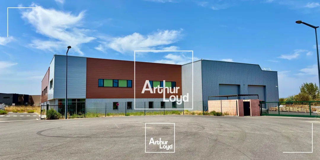 Locaux d'activité & Entrepôts - Vente - FABREGUES - 34690 - 2820-2820 - 7833421