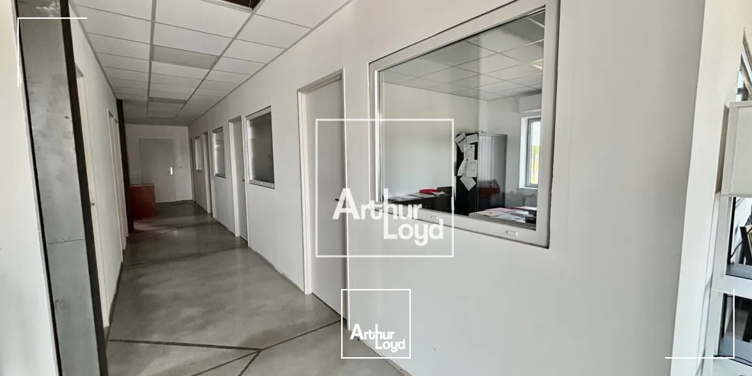 Locaux d'activité & Entrepôts - Vente - FABREGUES - 34690 - 2820-2820 - 7833420