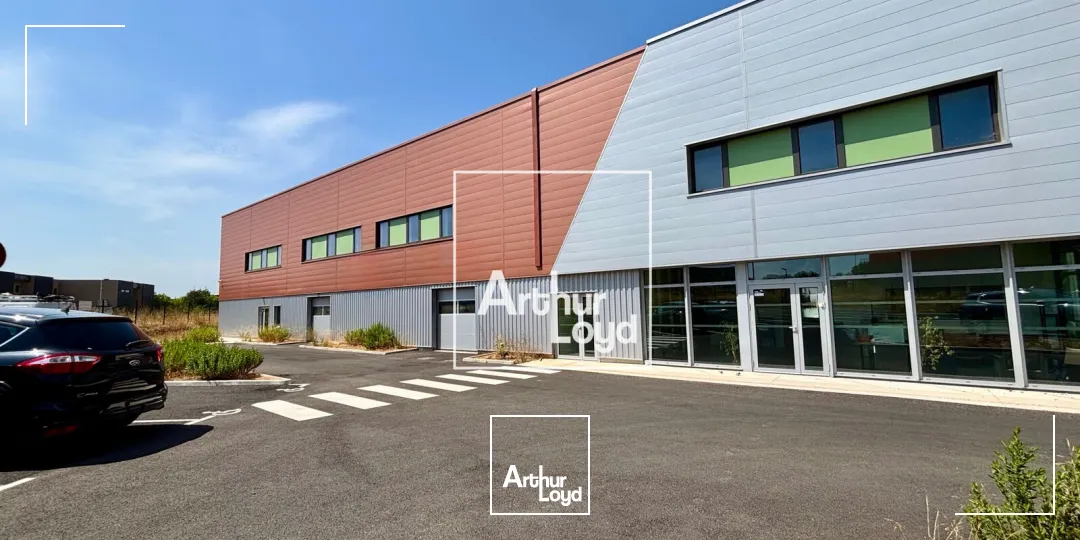 Locaux d'activité & Entrepôts - Vente - FABREGUES - 34690 - 2820-2820 - 7833422