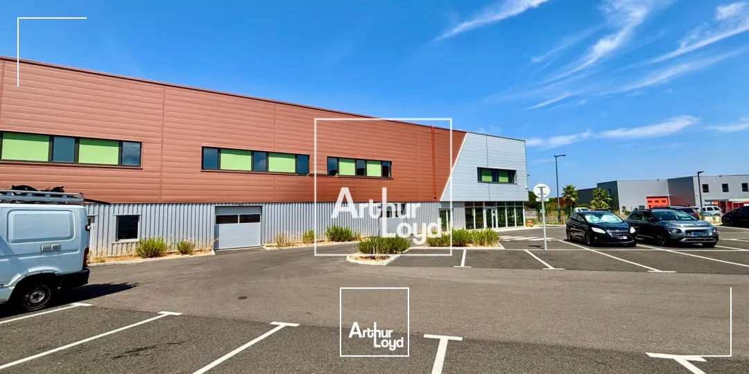 Locaux d'activité & Entrepôts - Vente - FABREGUES - 34690 - 2820-2820 - 7833424