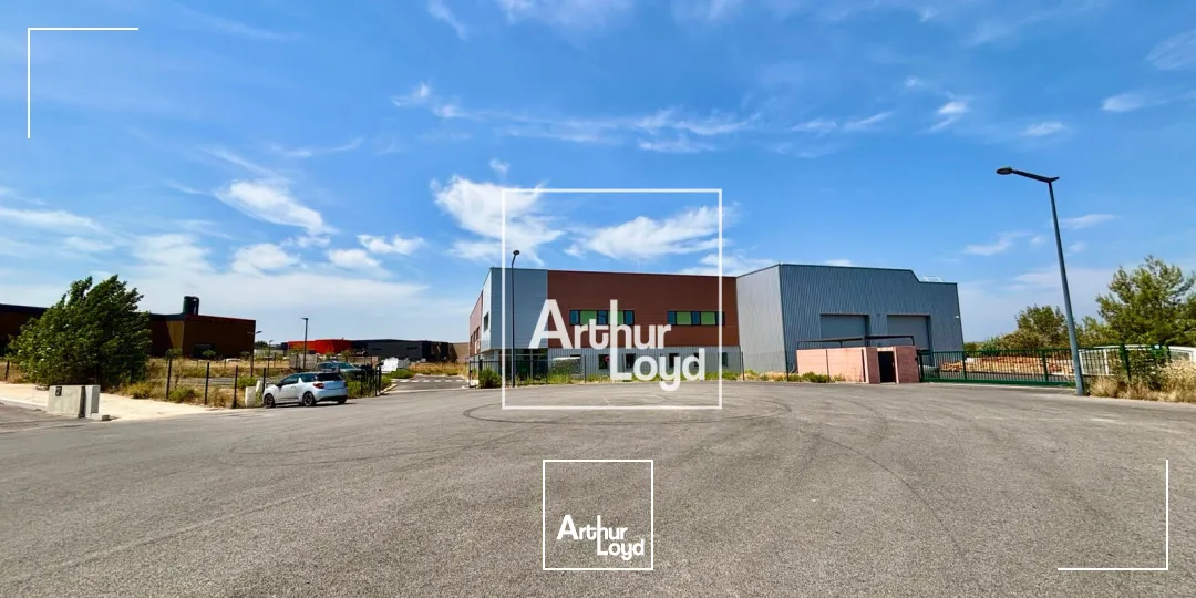 Locaux d'activité & Entrepôts - Vente - FABREGUES - 34690 - 2820-2820 - 7833427
