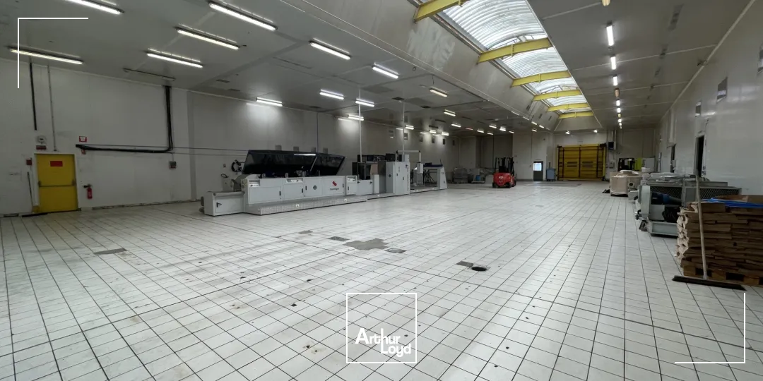 Locaux d'activité & Entrepôts - Location - GRAVIGNY - 27930 - 1300-1300 - 7833636