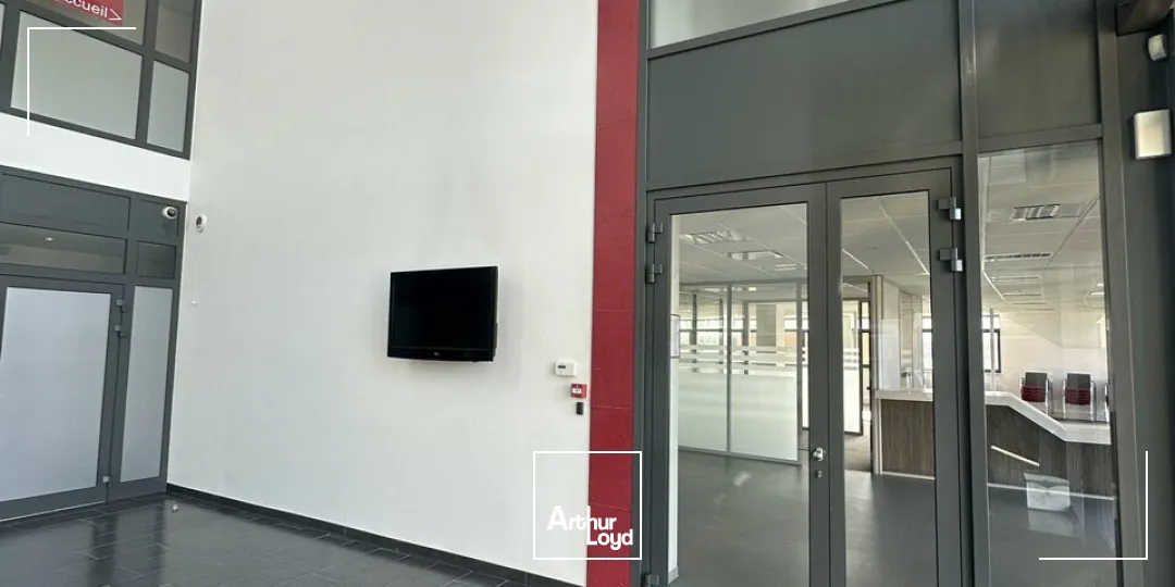 Bureaux - Vente - SCHILTIGHEIM - 67300 - 345-700 - 7833969