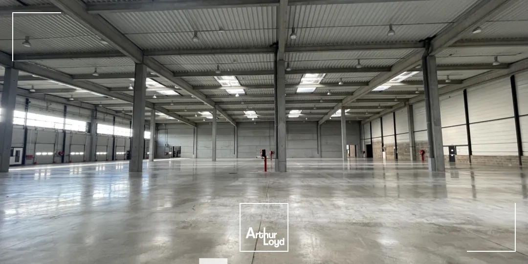 Locaux d'activité & Entrepôts - Location - MIRIBEL - 01700 - 9623-9623 - 7834712