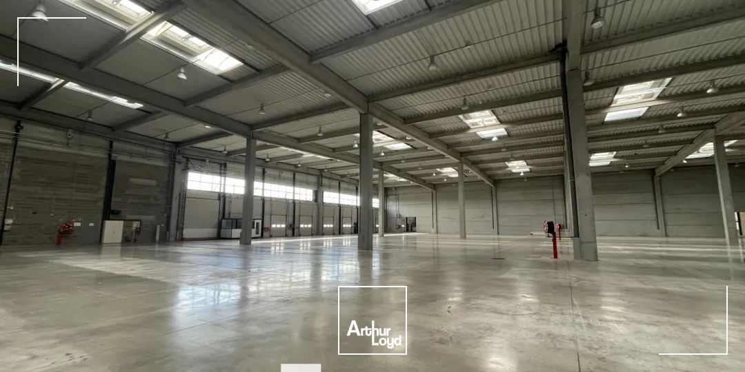 Locaux d'activité & Entrepôts - Location - MIRIBEL - 01700 - 9623-9623 - 7834714