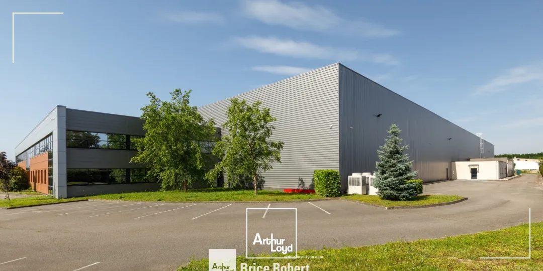 Locaux d'activité & Entrepôts - Location - MIRIBEL - 01700 - 9623-9623 - 7834717