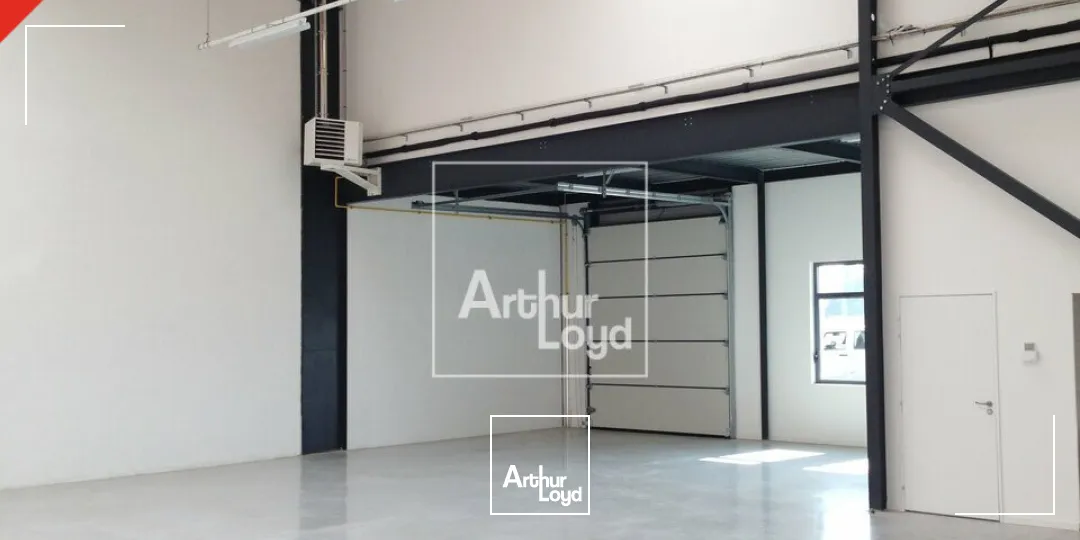 Locaux d'activité & Entrepôts - Location - LIEUSAINT - 77127 - 235-235 - 7835912