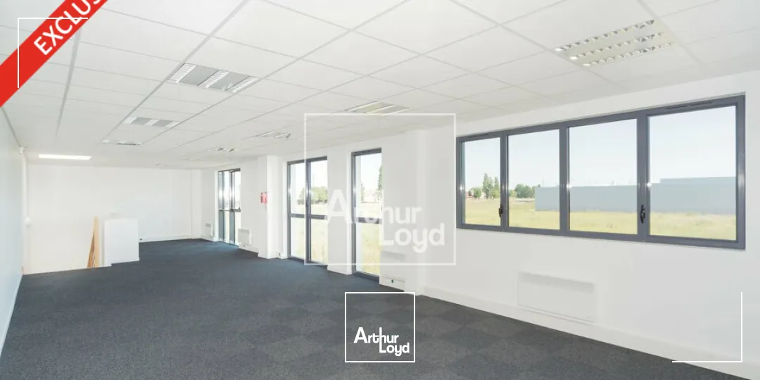 Locaux d'activité & Entrepôts - Location - LIEUSAINT - 77127 - 235-235 - 7835913
