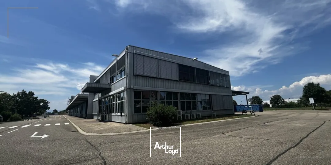 Locaux d'activité & Entrepôts - Vente - ALGOLSHEIM - 68600 - 7500-7500 - 7836601