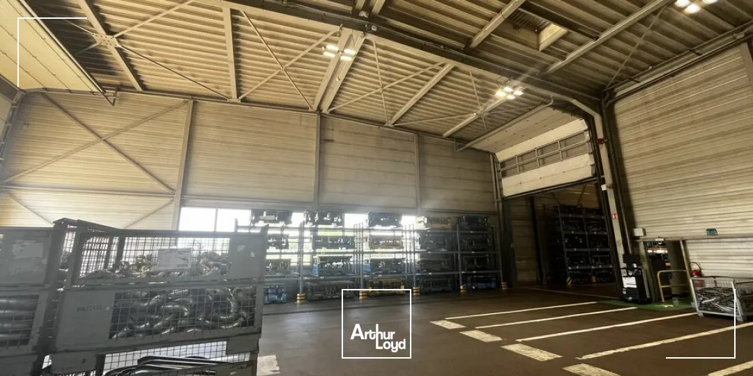 Locaux d'activité & Entrepôts - Vente - ALGOLSHEIM - 68600 - 7500-7500 - 7836603