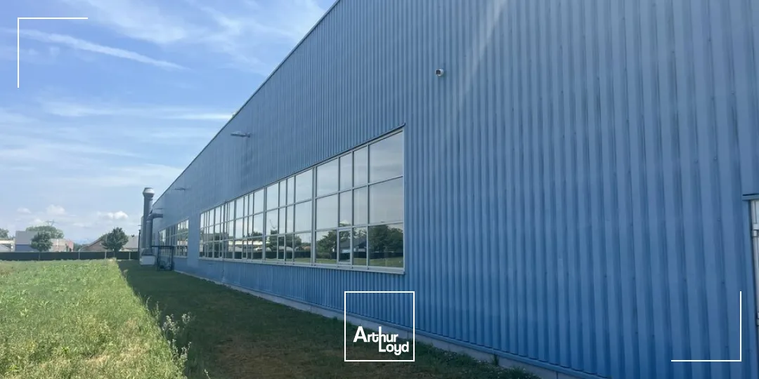 Locaux d'activité & Entrepôts - Vente - ALGOLSHEIM - 68600 - 7500-7500 - 7836606
