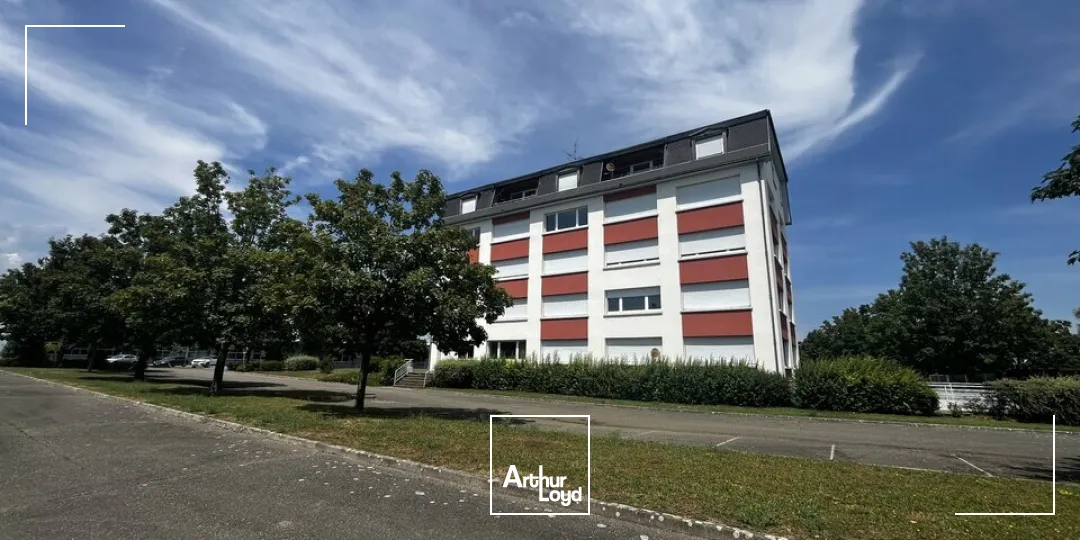 Locaux d'activité & Entrepôts - Vente - ALGOLSHEIM - 68600 - 7500-7500 - 7836607