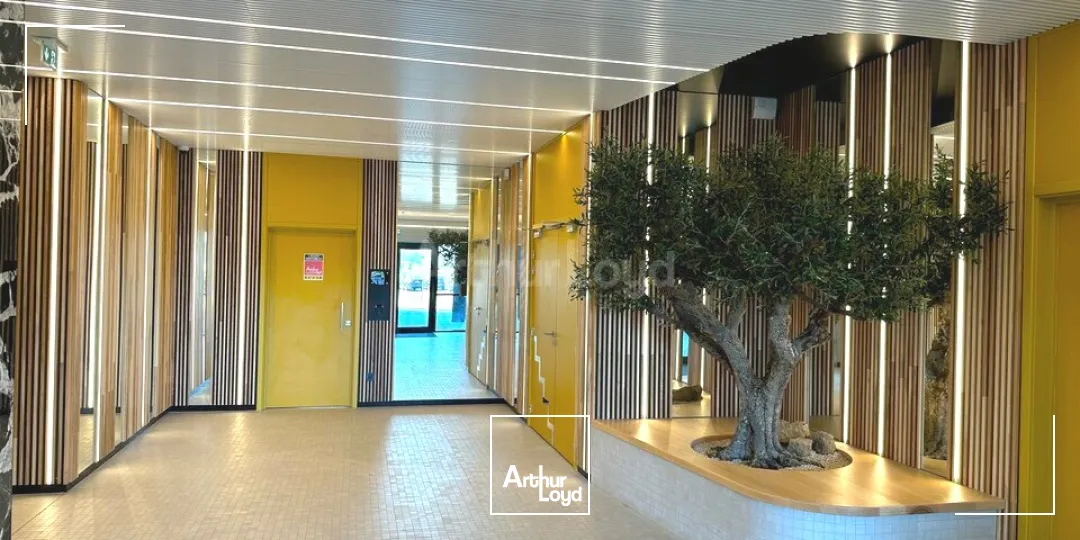 Bureaux - Location - SCHILTIGHEIM - 67300 - 221.2-221.2 - 7836617