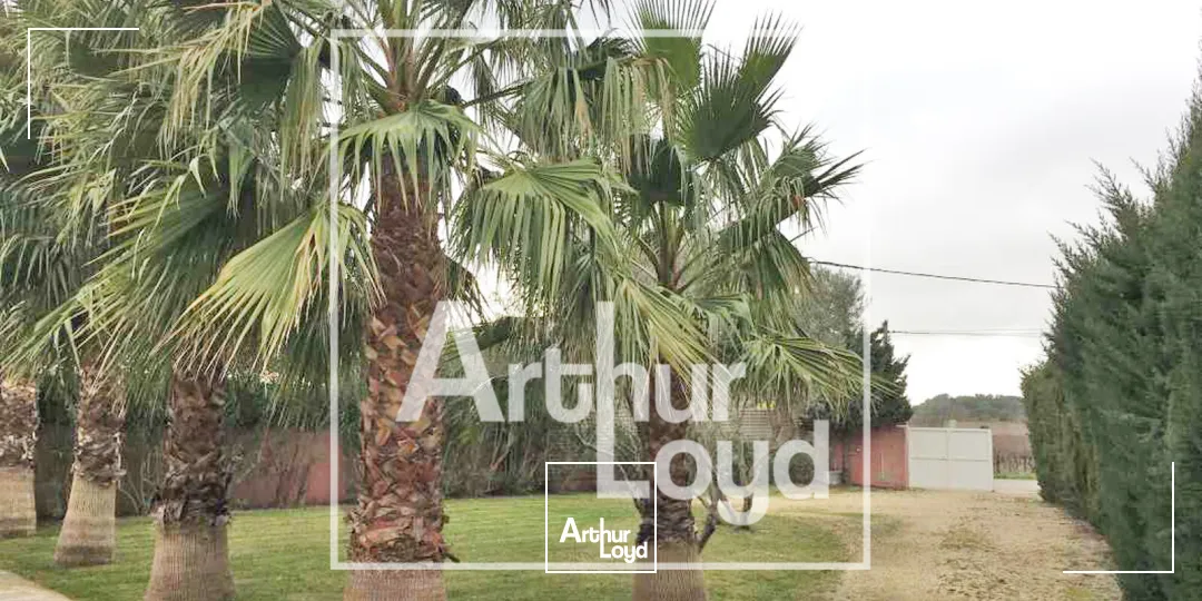 Bureaux - Location - COURNONTERRAL - 34660 - 221-221 - 7836679