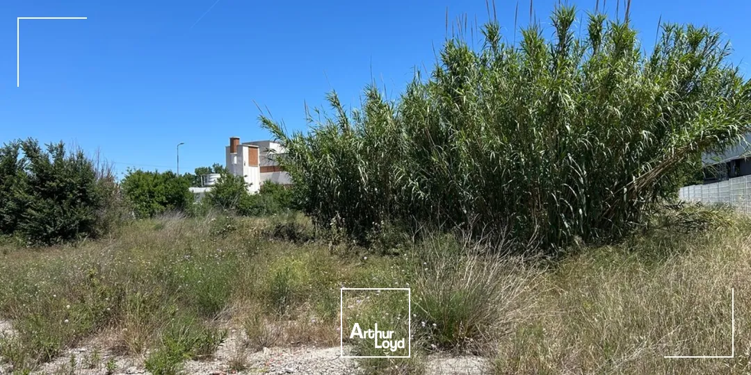 Terrains - Vente - PERPIGNAN - 66000 - 10760-10760 - 7837554