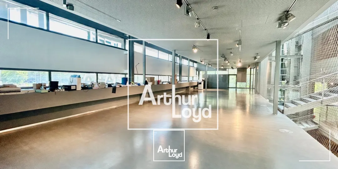 Locaux commerciaux - Location - MONTPELLIER - 34000 - 1034.63-1034.63 - 7838173