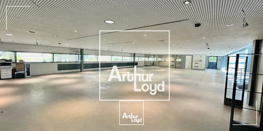 Locaux commerciaux - Location - MONTPELLIER - 34000 - 1034.63-1034.63 - 7838178