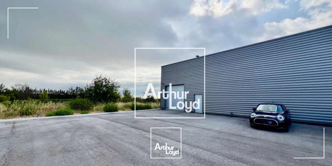 Locaux d'activité & Entrepôts - Location - SAINT SERIES - 34400 - 100-100 - 7838197
