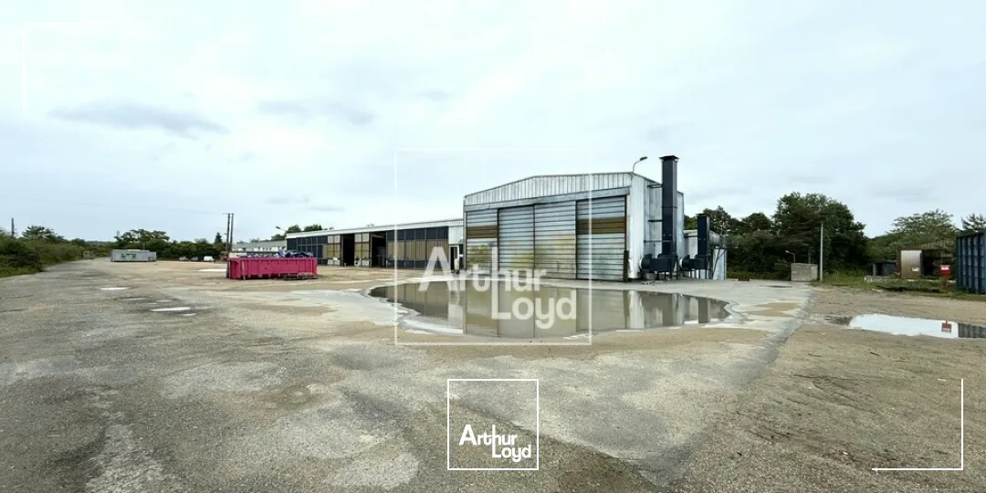 Locaux d'activité & Entrepôts - Vente - LE MALESHERBOIS - 45330 - 3200-3200 - 7838781