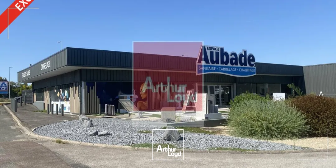 Locaux d'activité & Entrepôts - Vente - LA CHAPELLE-SAINT-LUC - 10600 - 879-6704 - 7838829