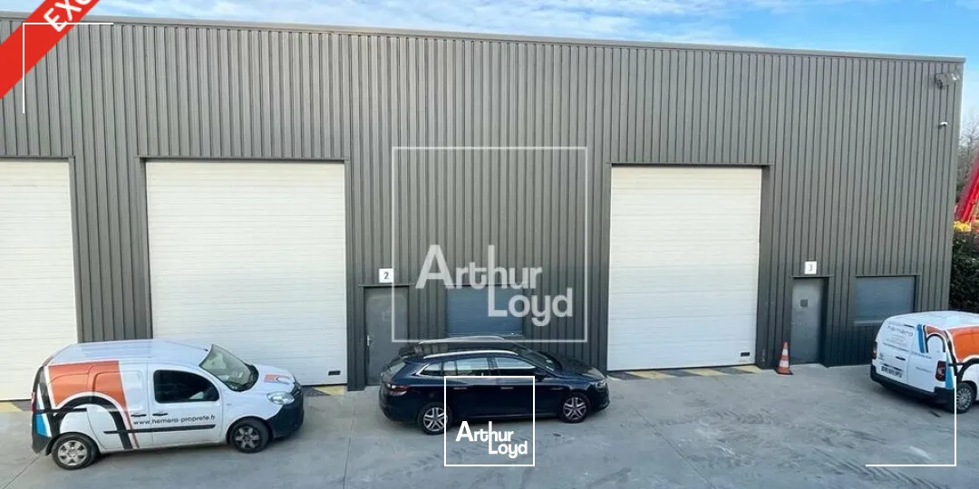 Locaux d'activité & Entrepôts - Location - CESSON - 77240 - 253-253 - 7848035
