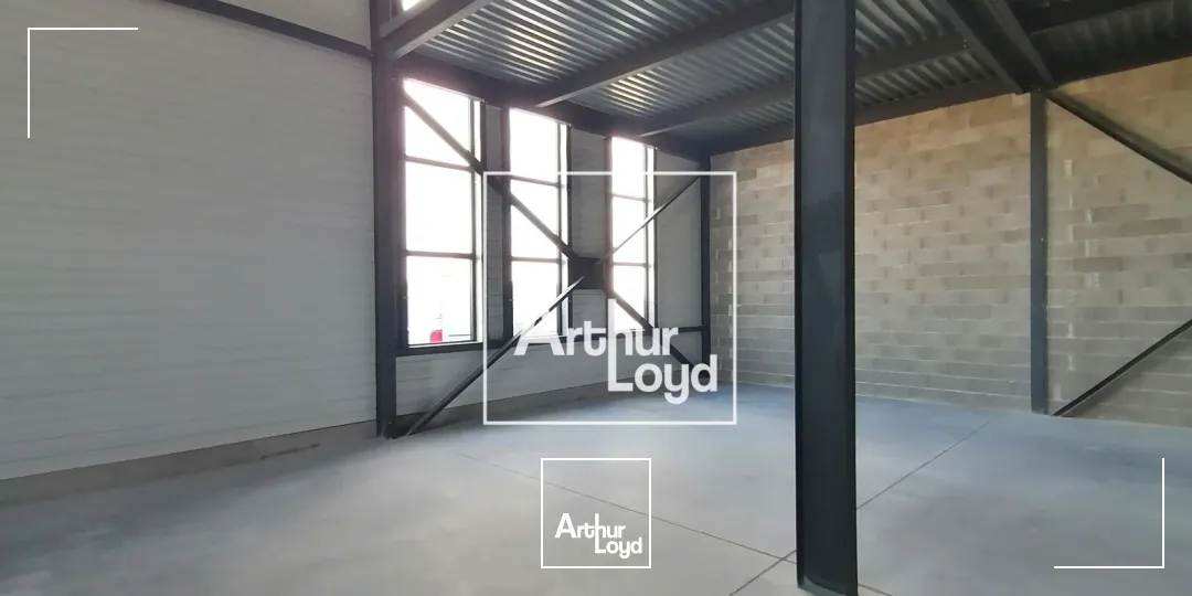 Locaux d'activité & Entrepôts - Location - SAINT GEORGES D'ORQUES - 34680 - 236-236 - 7848099