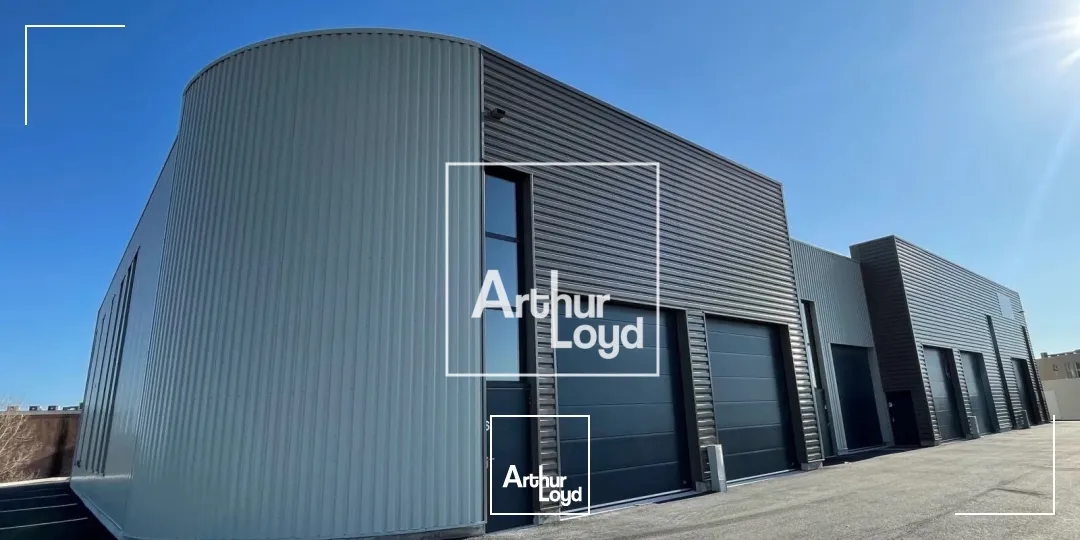 Locaux d'activité & Entrepôts - Location - SAINT GEORGES D'ORQUES - 34680 - 236-236 - 7848097