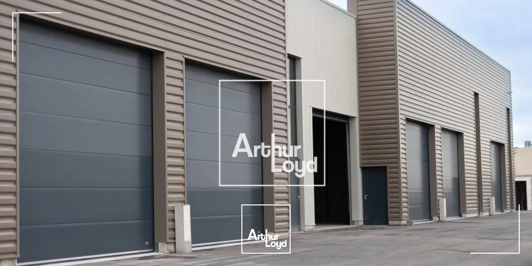 Locaux d'activité & Entrepôts - Location - SAINT GEORGES D'ORQUES - 34680 - 236-236 - 7848096