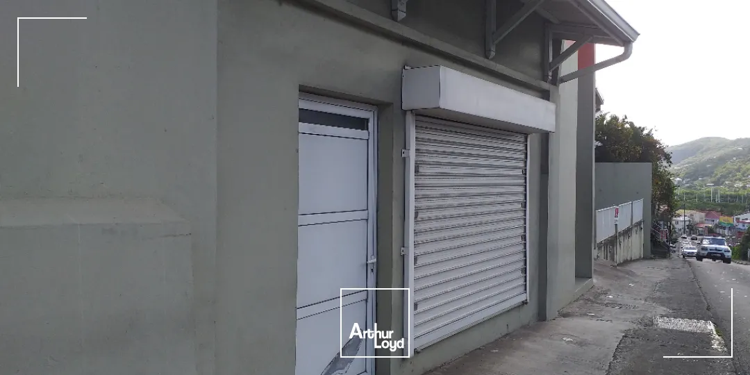 Locaux commerciaux - Location - Le Marin - 97290 - 25-25 - 7856146