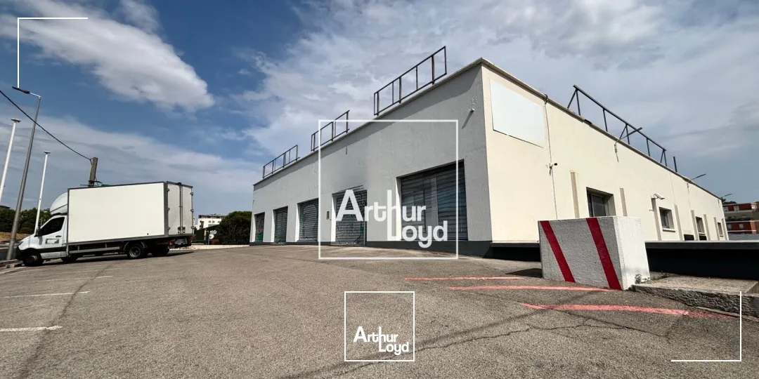 Locaux commerciaux - Location - MONTPELLIER - 34070 - 1000-1000 - 7856360