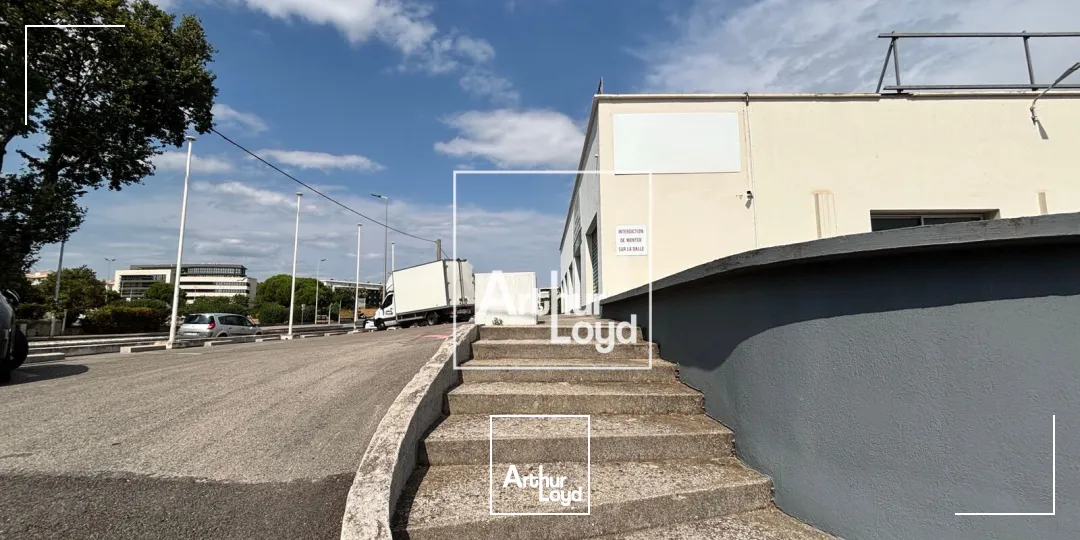 Locaux commerciaux - Location - MONTPELLIER - 34070 - 1000-1000 - 7856365