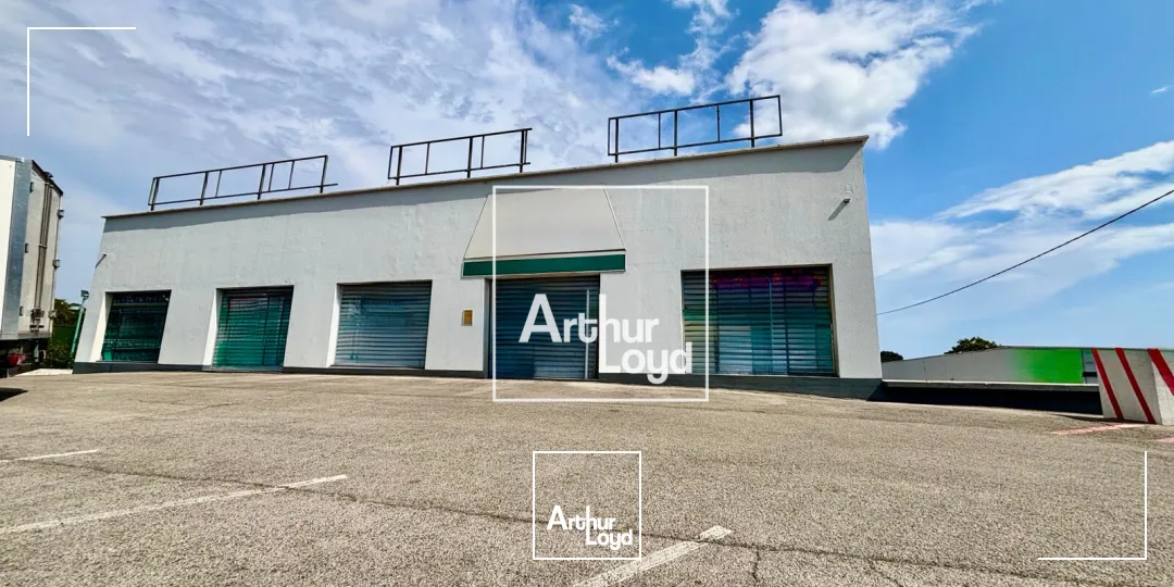 Locaux commerciaux - Location - MONTPELLIER - 34070 - 1000-1000 - 7856359